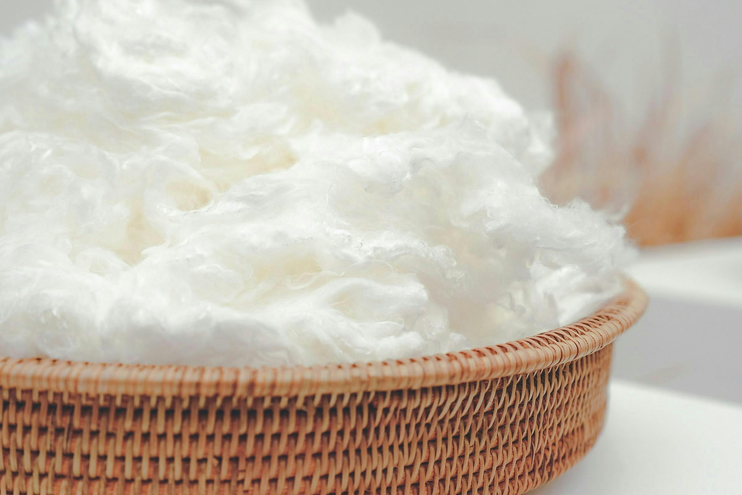 Viscose Staple Fiber